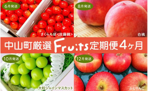 山形県中山町のふるさと納税 【令和7年産先行受付】山形県中山町の至高！山形県中山町厳選フルーツ定期便　全4回