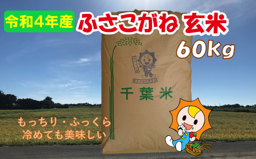 アイテムID:449545の画像1枚目
