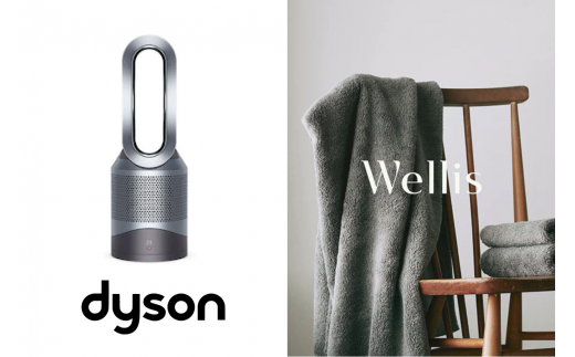 Wellis×Dyson Wellis Dyson Pure Hot + Cool™ 空気清浄機能付ファン