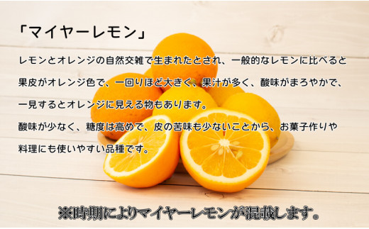 農薬・化学肥料不使用】国産レモン 1.5kg - 香川県さぬき市｜ふるさと