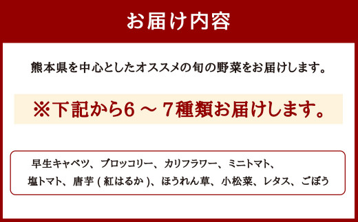 くまもと旬の野菜セット