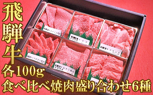 【飛騨牛】食べ比べ焼肉盛り合わせ6種　各100g