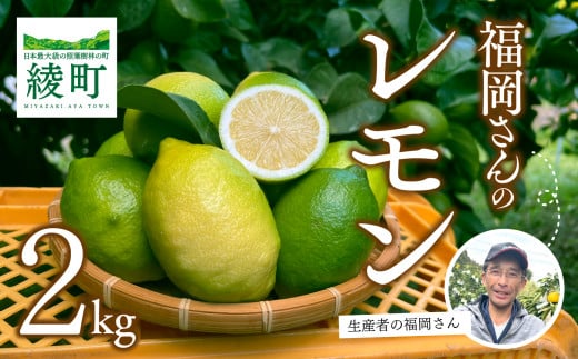 福岡さんのレモン2kg（14-57）