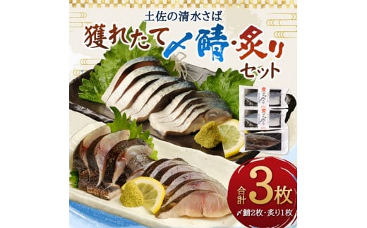 土佐の清水さば獲れたて〆鯖2枚炙り1枚セット B 58 高知県土佐清水市 ふるさとチョイス ふるさと納税サイト