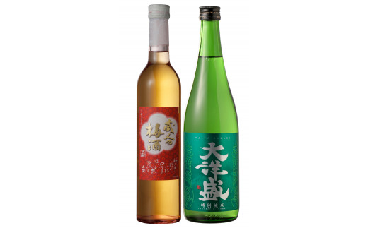 大洋盛セットP(純米酒・梅酒セット)飲み比べセット 大洋酒造 [A4181]