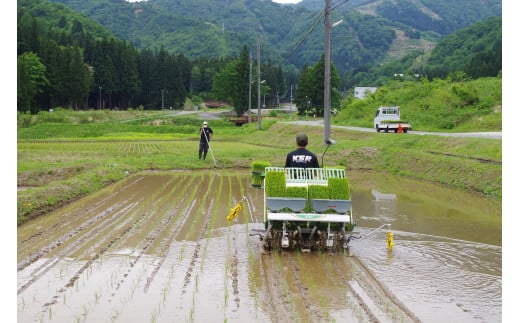 新潟県湯沢町のふるさと納税 神立スノーリゾートリフト1日券(2枚)と湯沢産コシヒカリ「神立米」精米3kgのセット【レジャー】