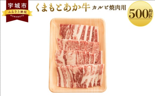 くまもとあか牛 カルビ 焼肉用 約500g×1パック 和牛 牛肉 547823 - 熊本県宇城市