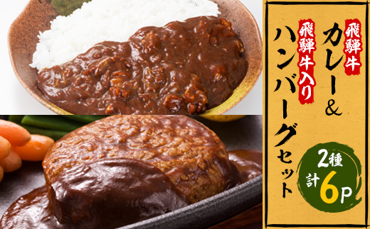 ふるさと納税 笠松町 飛騨牛カレー20個セット-