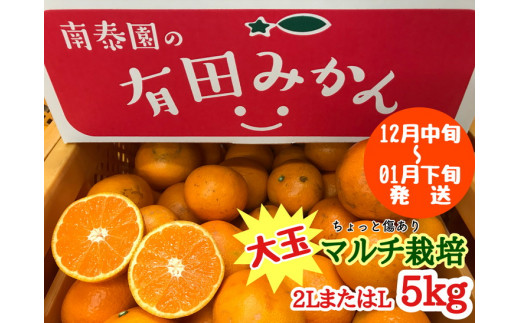 ちょっと傷あり【マルチ栽培・有田みかん】大玉2LまたはLサイズ／約5kg【南泰園】※着日指定不可※2022年12月中旬頃～2023年1月下旬頃に順次発送予定 654212 - 和歌山県広川町