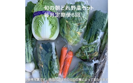 No.846 旬の朝どれ野菜セット×6回 ／ やさい 朝採れ 埼玉県