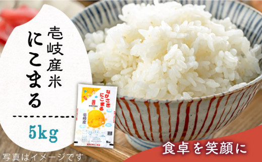 壱岐産米 にこまる 5kg [JCZ023]  米 お米 ごはん ご飯 にこまる 特A 8000 8000円 
