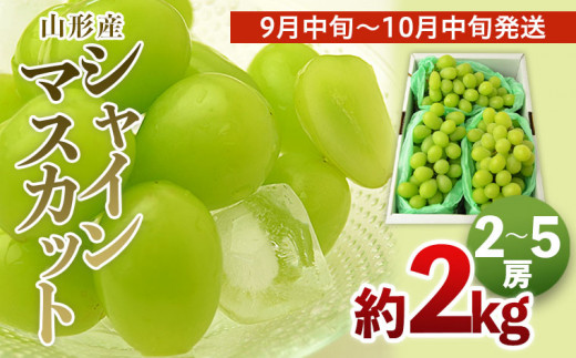 値下げ！山形県産シャインマスカット 秀品 2kg pd_936c6dd79a854eed54466fe7179