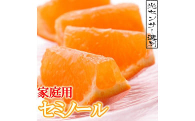 ＜4月より発送＞家庭用 セミノールオレンジ5kg+150g（傷み補償分）【有田の春みかん】【有田産】【光センサー食べ頃出荷】【わけあり・訳あり】 547696 - 和歌山県かつらぎ町