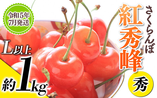 さくらんぼ 紅秀峰 約1kg (秀・L以上) 《令和5年7月発送》 2023年 サクランボ 果物 フルーツ 産地直送 生産農家直送 山形県 南陽市 887