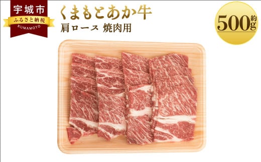 くまもとあか牛 肩ロース 焼肉用 約500g×1パック 和牛 牛肉 547825 - 熊本県宇城市
