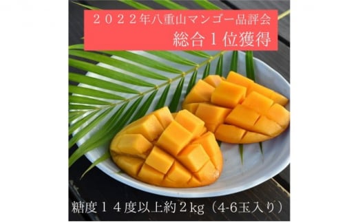 2023年発送】2022年八重山マンゴー品評会総合1位獲得！高糖度保証