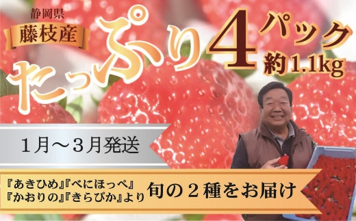 いちご 1kg 以上 苺 旬 2種 【1月～3月発送】 産地 直送 たっぷり 紅