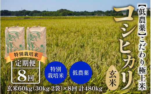 令和5年産】《定期便》60kg×8回 480kg 田んぼ一反分 特別栽培米