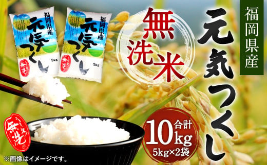 福岡県産元気つくし 無洗米 10kg お米 ご飯 米