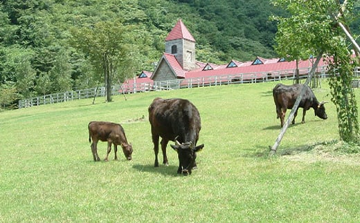 世界農業遺産認定!」黒毛牛の但馬牛すき焼・しゃぶしゃぶ用 (もも300g