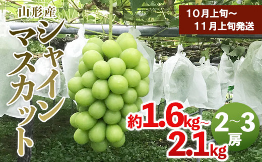 045 厳選 シャインマスカット 秀品 2房~3