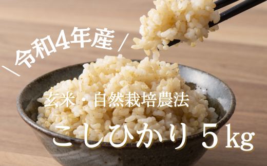 ＼令和4年産／省農薬・自然栽培農法で作ったコシヒカリ　玄米5kg