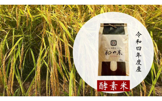 ＼令和4年産／和の米　「酵素米」　精米10kg