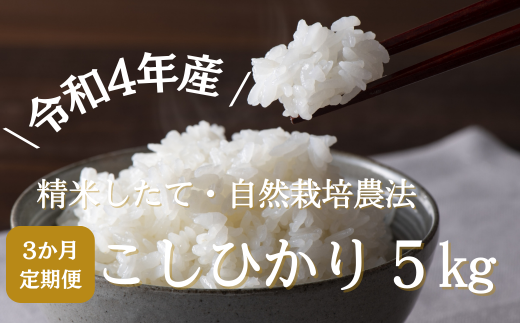 【3ヶ月定期便】＼令和4年産／省農薬・自然栽培農法で作ったコシヒカリ　精米5kg