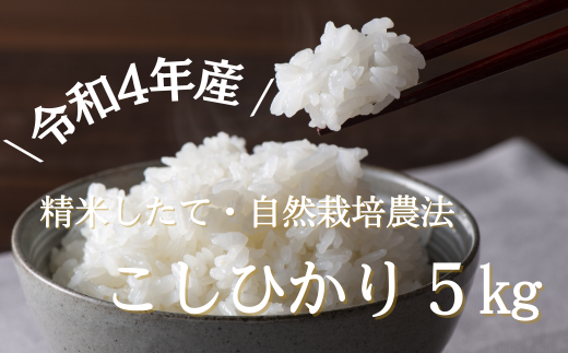 ＼令和4年産／省農薬・自然栽培農法で作ったコシヒカリ　精米5kg