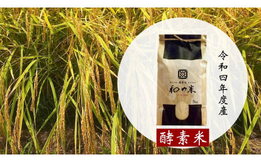 ＼令和4年産／和の米　「酵素米」　精米5kg