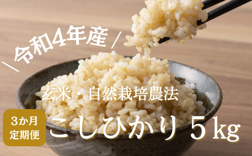【3ヶ月定期便】＼令和4年産／省農薬・自然栽培農法で作ったコシヒカリ　玄米5kg