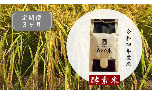 【3ヵ月定期便】＼令和4年産／和の米「酵素米」　精米5kg×3回