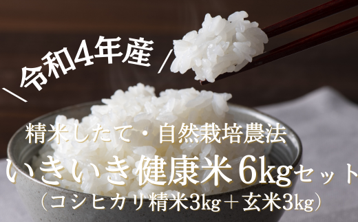 【精米3kg+玄米3kg】＼令和4年産／いきいき健康米(コシヒカリ)セット