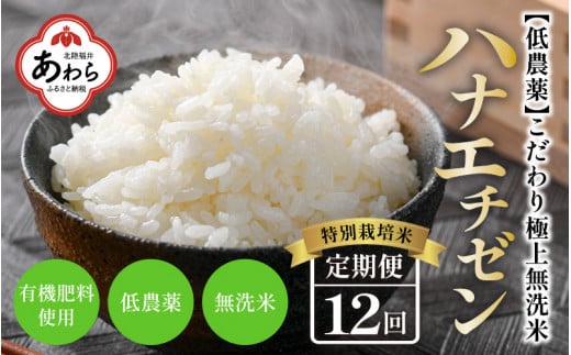 【令和4年産】《定期便》5kg×12回 60kg 特別栽培米 ハナエチゼン 無洗米 低農薬 《食味値85点以上！こだわり極上無洗米》
