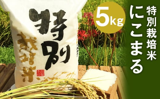 【令和5年産】特別栽培米 にこまる 5kg  1088152 - 熊本県人吉市