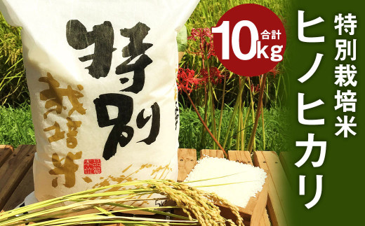 【令和5年産】特別栽培米 ヒノヒカリ 10kg (5kg×2) 1088151 - 熊本県人吉市