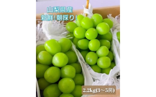 【2026年発送★先行予約】 産地厳選シャインマスカット2.2㎏～2.5kg（3房～5房）106-014 823578 - 山梨県笛吹市