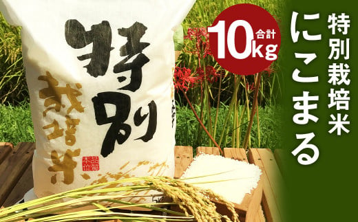 【令和5年産】特別栽培米 にこまる 10kg (5kg×2)
