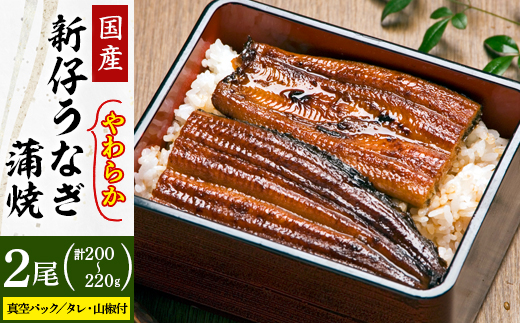 国内産やわらか新仔うなぎ蒲焼2尾 合計200～220g(食べ切りサイズ