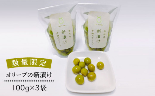 [数量限定]オリーブの新漬け(100g × 3袋) [JDU008] オリーブ おつまみ 17000 17000円