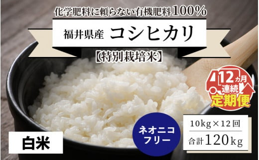 【先行予約】【令和7年産・新米】【12ヶ月連続お届け】【特別栽培米】福井県産 コシヒカリ 10kg ～化学肥料にたよらない有機肥料100%～ ネオニコフリー （白米） 【2025年10月上旬以降順次発送予定】【 白米 お米 ごはん ブランド米 こしひかり 10キロ 産地直送 定期便 お楽しみ ふるさと納税米 】 [O-13401_01] 492652 - 福井県坂井市