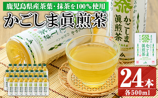 かごしま眞煎茶(500ml24本) tea keizai-915