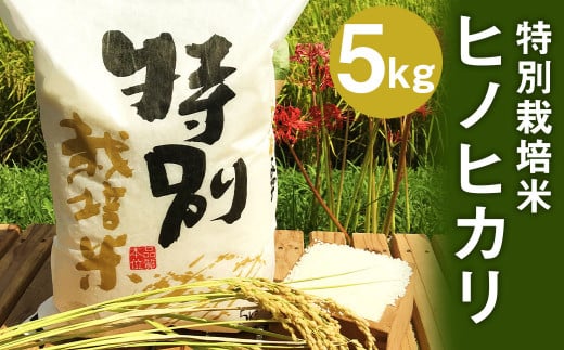 【令和5年産】特別栽培米 ヒノヒカリ 5kg