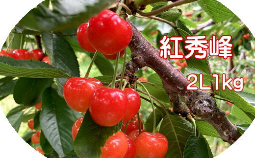 4-015-043　後藤果樹園のさくらんぼ紅秀峰（2L）1kg【R5先行予約】