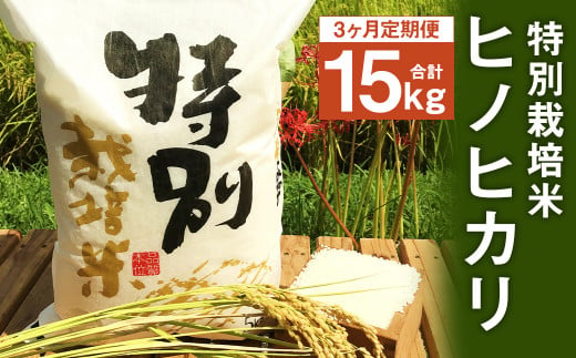 【3ヶ月定期便】 特別栽培米 ヒノヒカリ 5kg 801602 - 熊本県人吉市