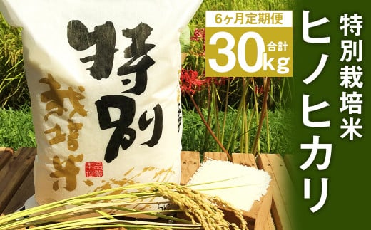 【6ヶ月定期便】 特別栽培米 ヒノヒカリ 5kg 801603 - 熊本県人吉市