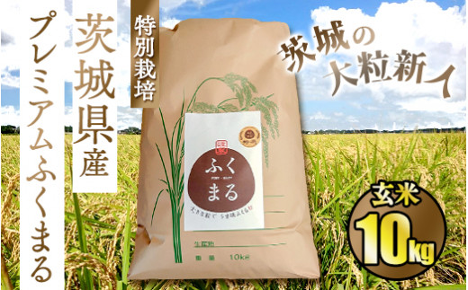 ☆茨城の大粒新人 プレミアムふくまる特別栽培米10kg【玄米】 919040 - 茨城県守谷市