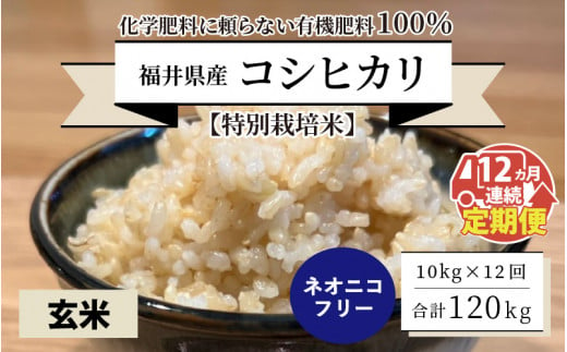 【先行予約】【令和6年産・新米】【12ヶ月連続お届け】【特別栽培米】福井県産 コシヒカリ 10kg ～化学肥料にたよらない有機肥料100%～ ネオニコフリー（玄米）【2024年10月上旬以降発送予定】 [O-13401_02] 492653 - 福井県坂井市