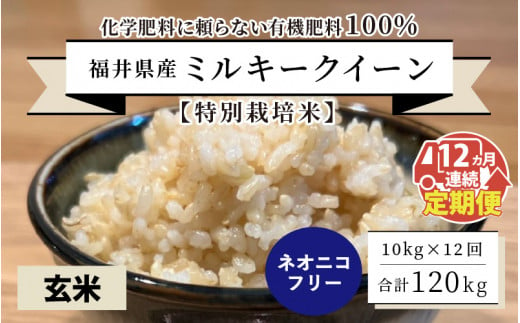 【先行予約】【令和6年産・新米】【12ヶ月連続お届け】【特別栽培米】福井県産 ミルキークイーン10kg×12回 計120kg ～化学肥料にたよらない100%の有機肥料～ ネオニコフリー（玄米）【2024年10月上旬以降発送予定】 [O-13402_02] 492656 - 福井県坂井市