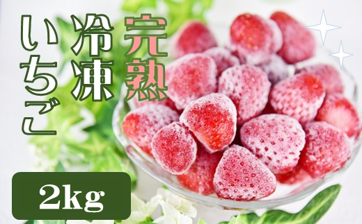 【期間限定 特別価格】特別賞受賞！完熟冷凍いちご 1kg